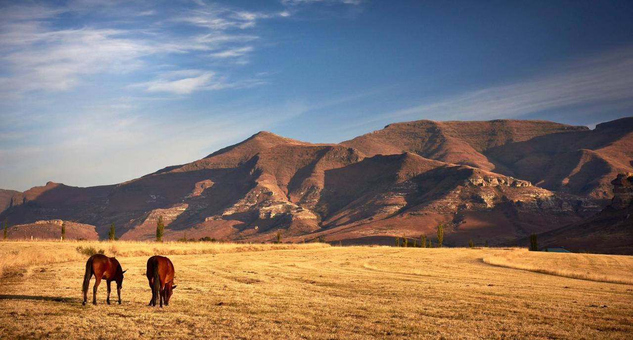 Dynasty Red Mountain Ranch Apartamento Clarens Exterior foto