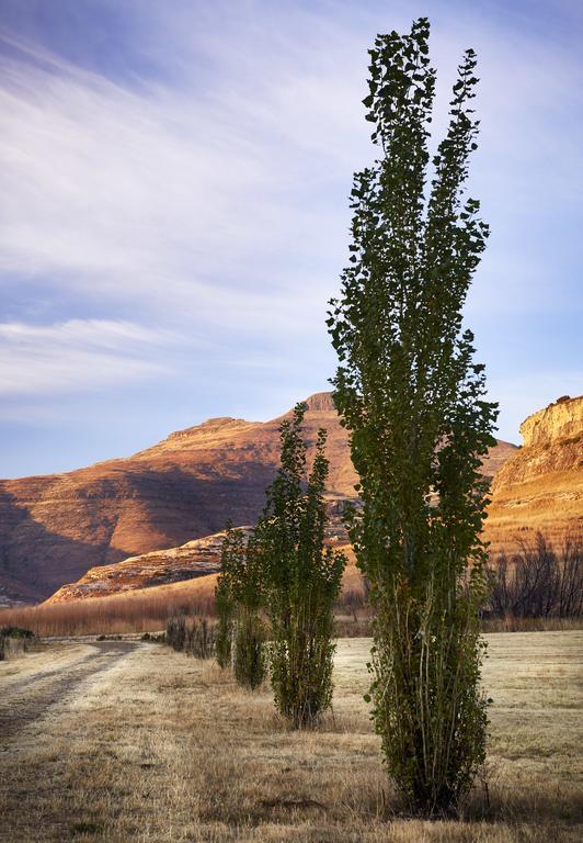 Dynasty Red Mountain Ranch Apartamento Clarens Exterior foto