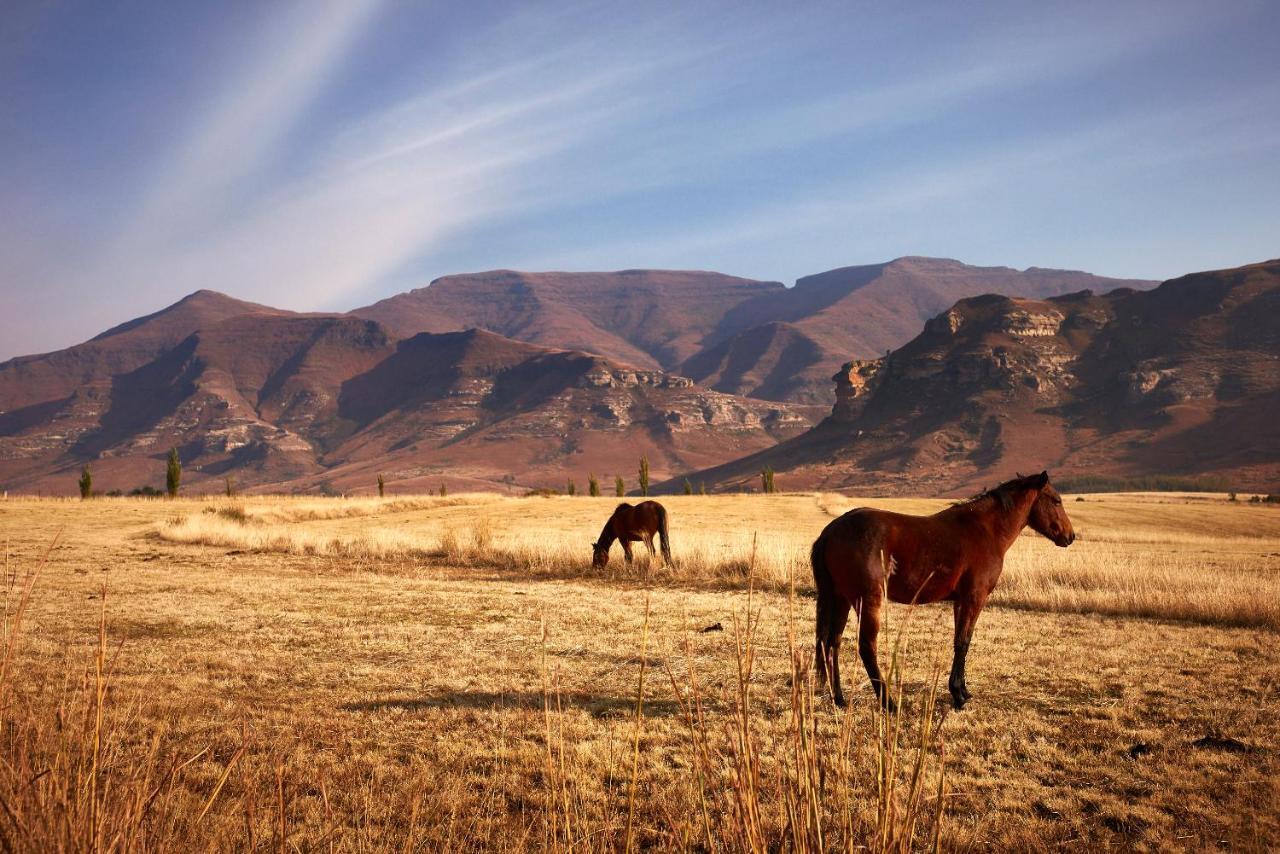 Dynasty Red Mountain Ranch Apartamento Clarens Exterior foto